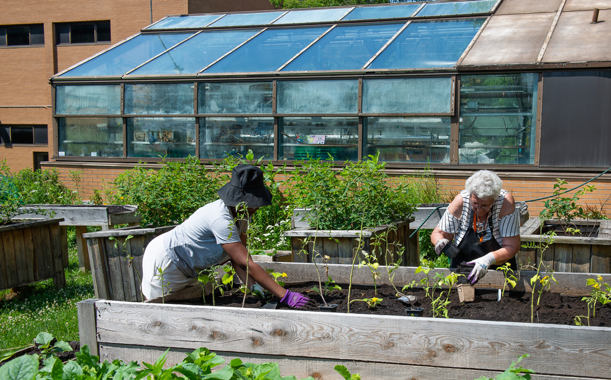 Social Harvest